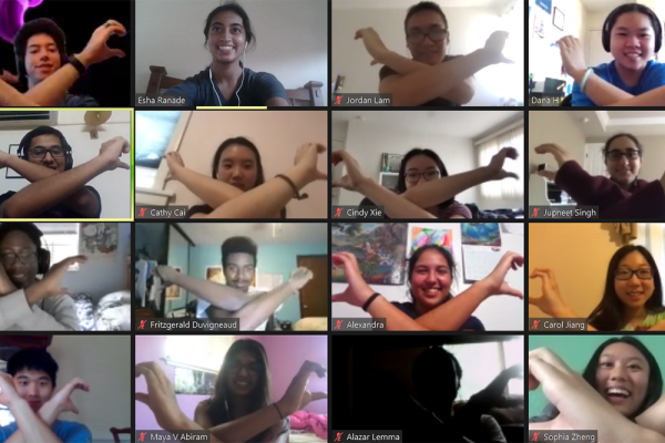 First-year students on the Purple Flag team participate in an online competition. The task: coordinate your arms to make a heart shape on the Zoom grid.